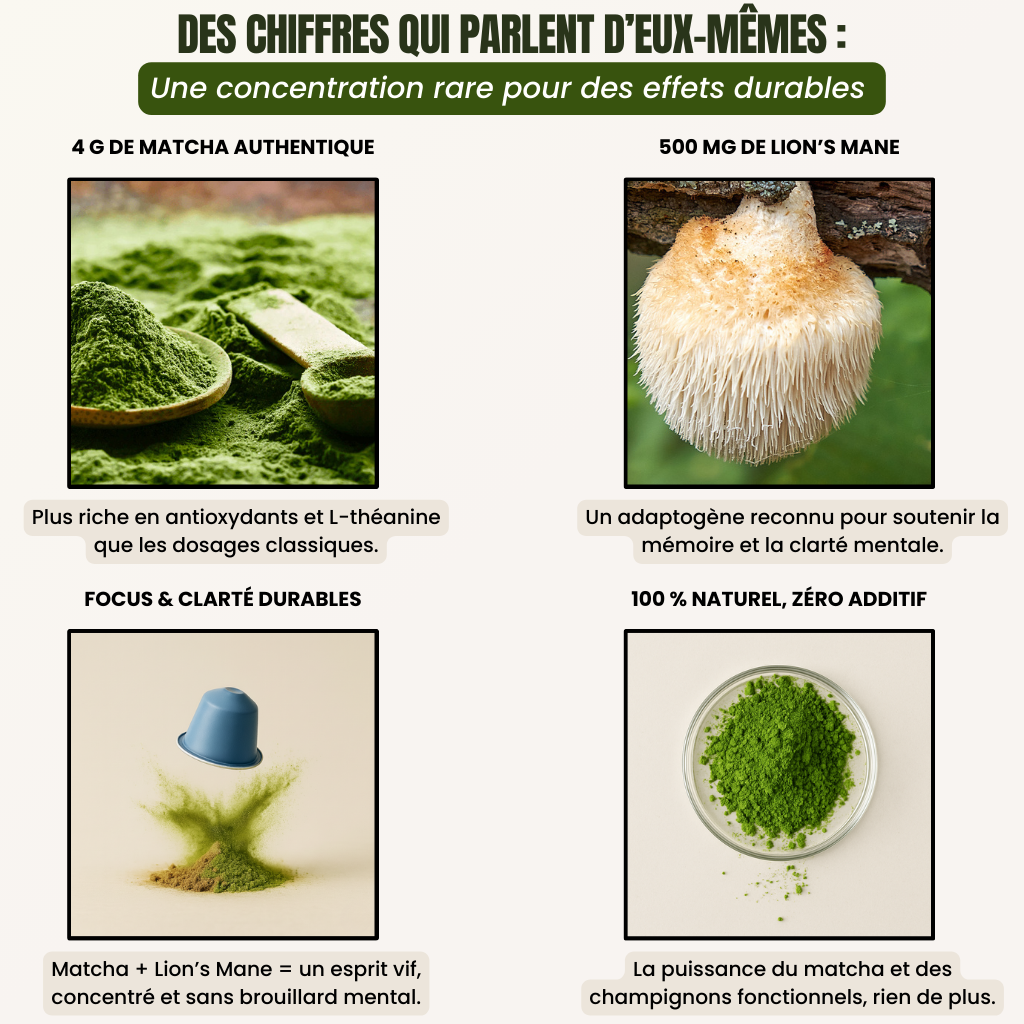 Clarity – Focus & Clarté Mentale