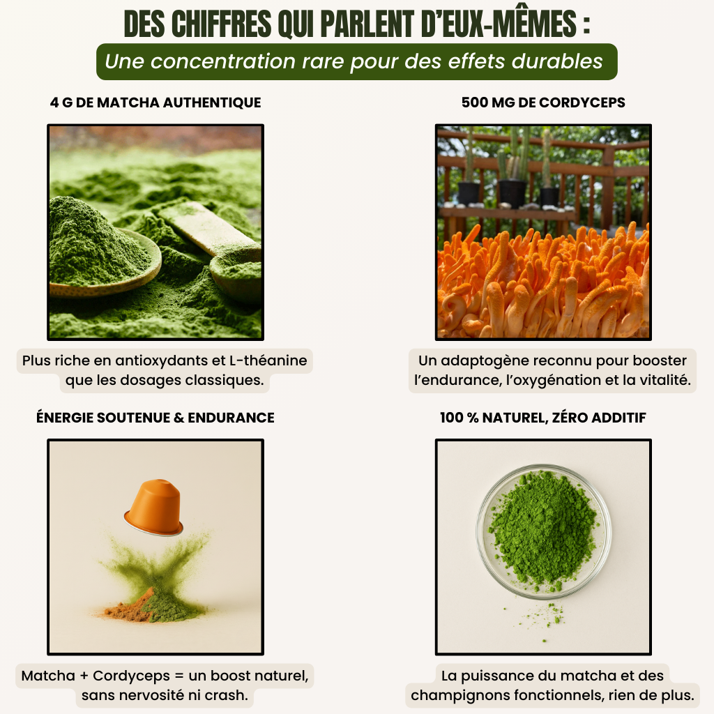 Ignite – Énergie & Performance