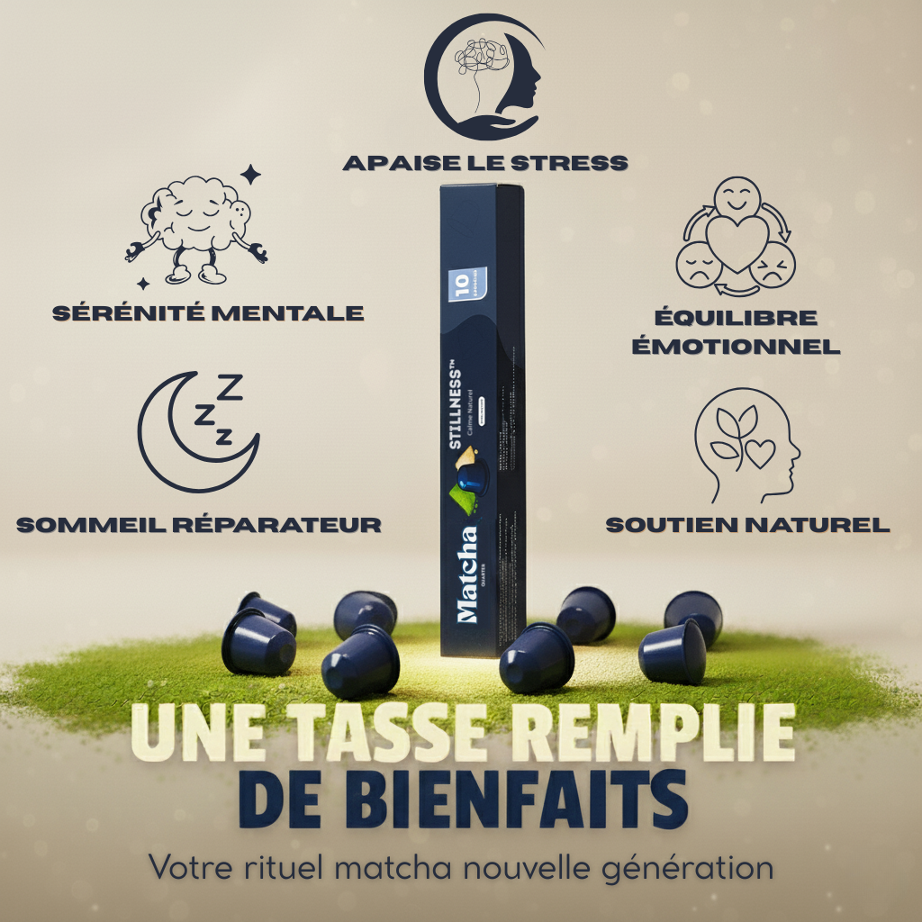 Stillness – Calme & Équilibre