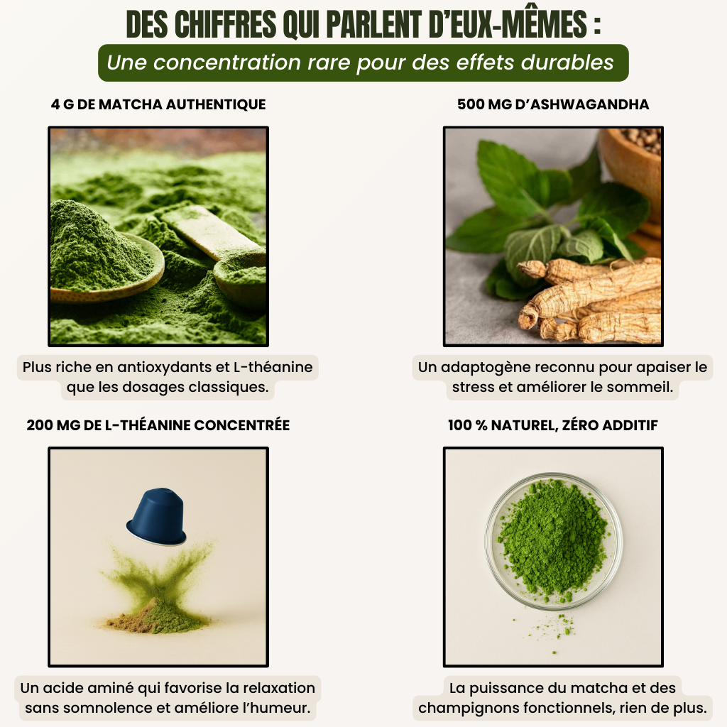 Stillness – Relax | Capsules Matcha + Adaptogènes